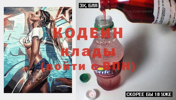 хмурый Арсеньев