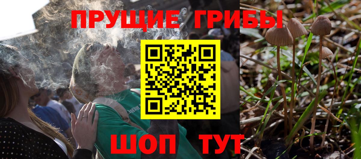 Галлюциногенные грибы прущие грибы  Вход с VPN  Псилоцибиновые грибы ЛСД  Архангельск 